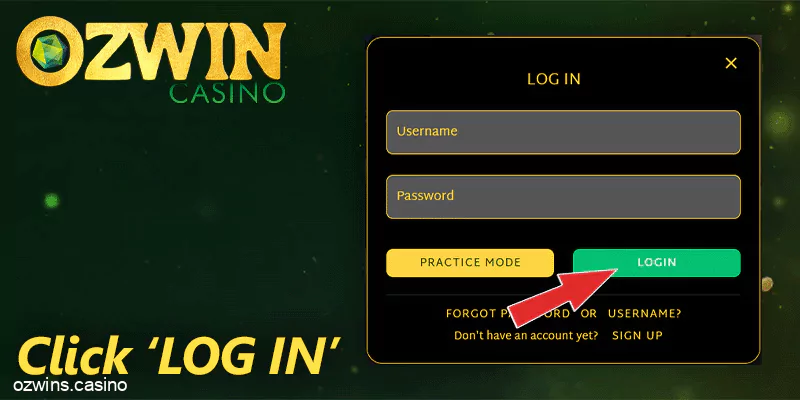 Log in form at Ozwin casino - click 'Log in' button and start playing